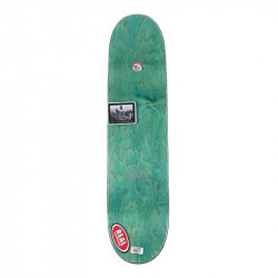 Real - Classic Oval 8.12"